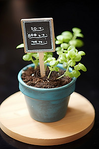 桶背景图片_用于土壤中植物的微型木质黑板