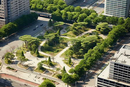 鸟瞰一座拥有树木和健身区的城市