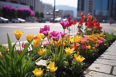 冲绳市的路边鲜花