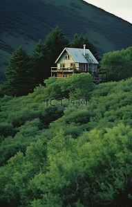 一座小房子坐落在一座长满灌木丛的小山上