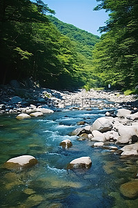 古诗瀑布背景图片_阳光明媚的日子里，一条蓝色的河流穿过森林