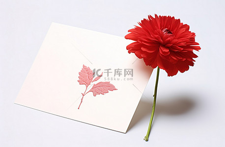 一张带有红花的感谢卡