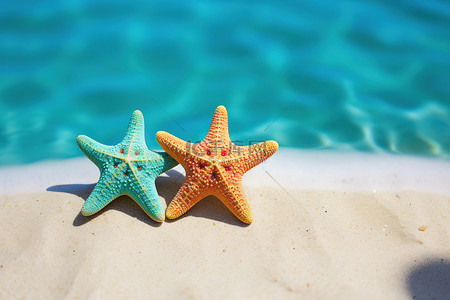 两只海星坐在游泳池附近的沙子上