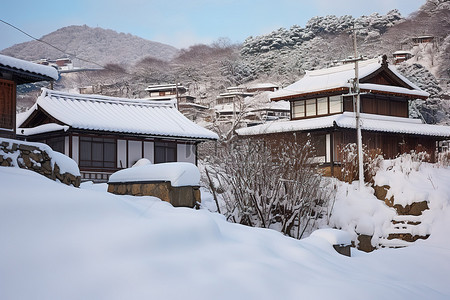 山坡上的三座积雪覆盖的房子