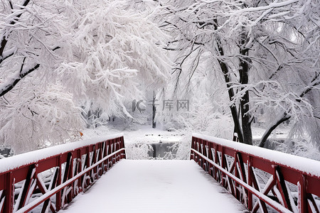 木桥背景图片_雪覆盖的木桥穿过雪覆盖的树林的景色