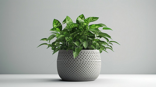 高清盆栽图像中植物的绿色 3D 渲染