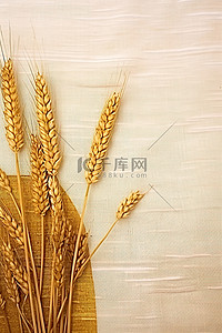 庄稼已经熟了背景图片_小麦中的小麦