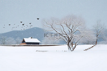 一座被雪覆盖的房子和一只飞翔的鸟