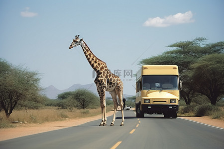 它背景图片_一辆卡车在路上行驶，一只长颈鹿正在穿越它