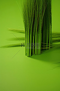 油炸小食背景图片_绿色桌子上压扁的绿草茎