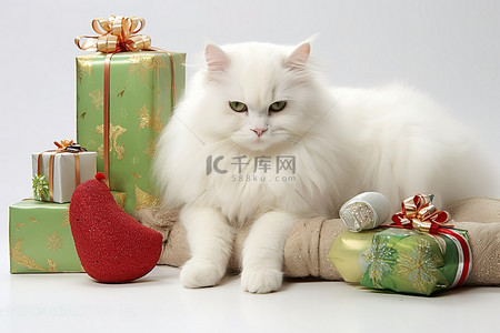 白猫睡在圣诞礼物和装饰品旁边