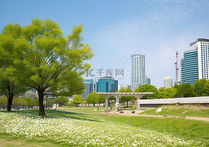 城市和背景图片_一棵树和一朵花装饰着一个城市公园