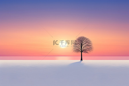 雪中树背景图片_一棵孤独的树矗立在田野中央的雪中
