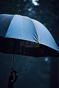 雨中撑着的伞