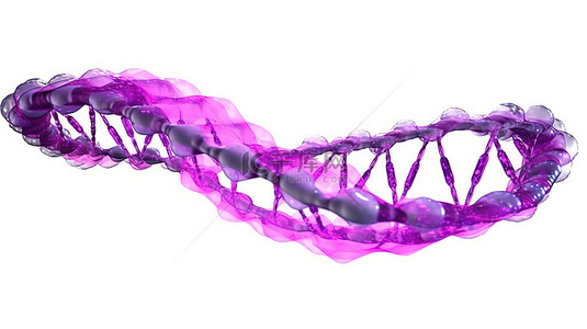 脱氧核糖核酸背景图片_白色背景上孤立的紫色螺旋 DNA 的 3d 渲染