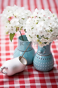 花瓶绣球花背景图片_两个花瓶，白花和一个花盆