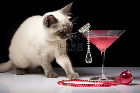 珍珠项链珍珠项链背景图片_一只猫在玩粉色鸡尾酒杯和珍珠项链