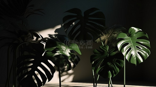 龟背竹阴影剪影渲染营造大气的室内美感
