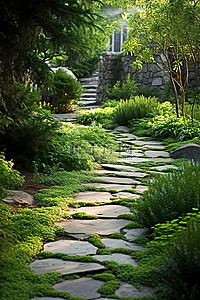 一条石头路通向一个长满植物的花园