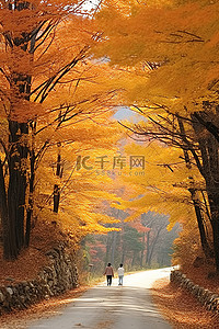 两个人走在秋色的路上