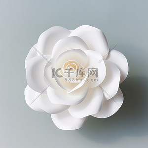 白色纸玫瑰形花