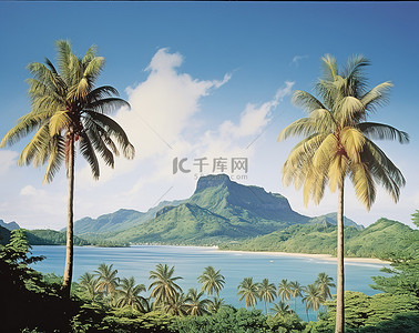 云树木背景图片_两棵大热带树俯瞰着清澈的蓝色海水
