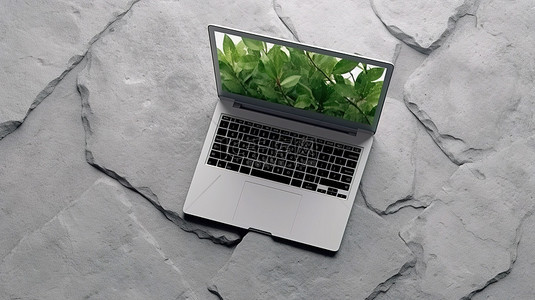 从顶视图看混凝土地板上的笔记本电脑和植物的真实 3D 渲染