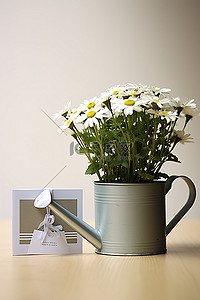 生日小卡片背景图片_桌上有一个白色小喷壶，上面有生日礼物和卡片