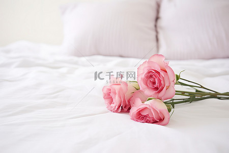 白色床上的粉红玫瑰