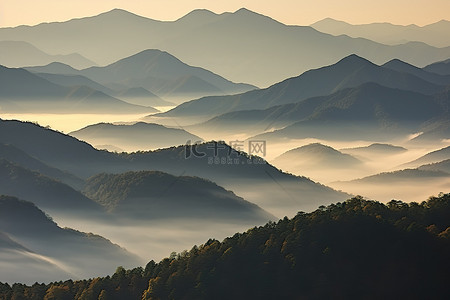 浓雾中的山景