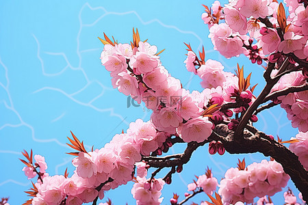 蓝天和花朵背景图片_一棵树在蓝天的映衬下呈现出美丽的粉红色花朵和叶子