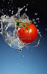 各种蔬菜水果肉背景图片_将番茄溅到水上