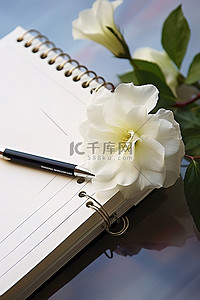 华人日历背景图片_一朵白花坐在计划器顶部