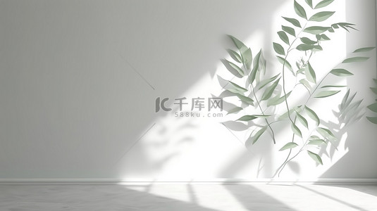光影效果背景图片_白墙与抽象树叶阴影背景 3d 渲染