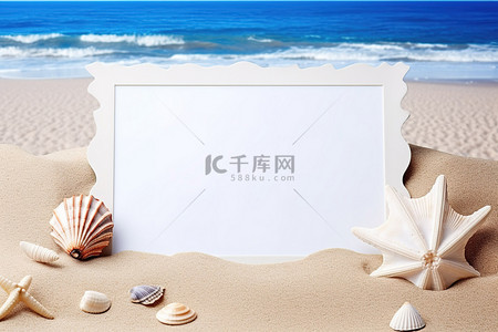 海滩上有白色框的贝壳的照片