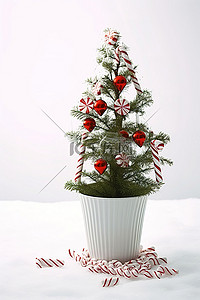 冬天的圣诞树背景图片_白色花瓶里的圣诞树，上面有拐杖糖