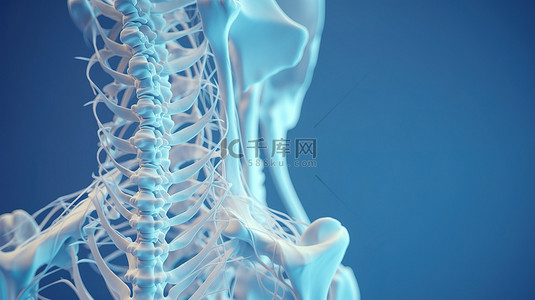 医疗中背景图片_蓝色背景下的 3D 渲染中描绘的脊柱