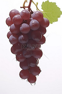 德国葡萄背景图片_白色背景上葡萄的特写照片