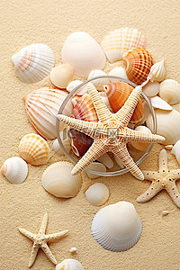沙滩上的贝壳海报打印