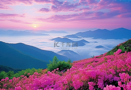 春天和背景图片_山附近有山丘和云彩的粉红色花朵