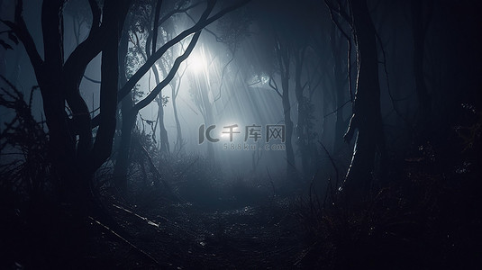 魔法森林笼罩在神秘之中，周围环绕着雾气和 3D 渲染的发光框架
