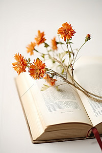 一本旧书上的橙色花