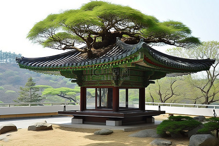 寺庙旅行背景图片_韩国馆，下有一棵树