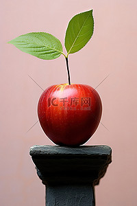 一个红苹果，一片叶子种植在瓷墙的顶部和附近