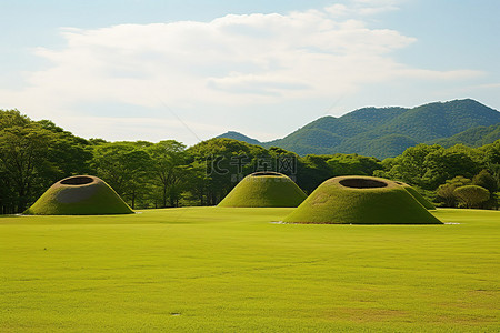 田野上有四个草甸形状的土丘，背景中有树木