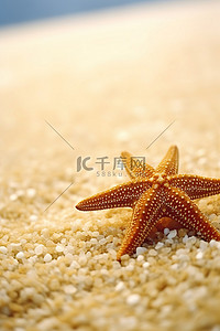 金色海星背景图片_一只金色的海星躺在白色的沙滩上