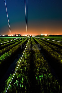 天空草地照片背景图片_一张稻田的照片，飞机在草地上行驶