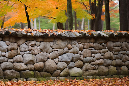 一堵石墙，周围环绕着树叶覆盖的树木