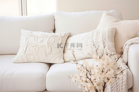 抱枕养鸡背景图片_一些白色抱枕和沙发