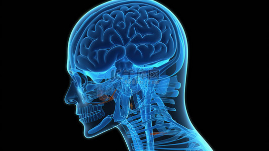 医学诊断背景图片_突出显示男性大脑的额叶作为 3d 医学渲染